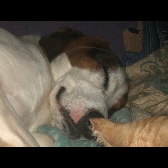 Amanda’s A Lil Bit of Everything Closet - Picture 6 of 8